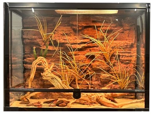 Beauty And Safe Reptile Enclosure Background Compact DIY Reptile Terrarium Background