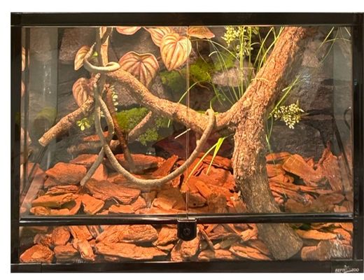 Water Retardant Reptile Enclosure Background Mildew Proof Lizard Enclosure Background