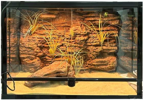 Natural Looking Reptile Enclosure Background Anti Corrosion Lizard Cage Backgrounds
