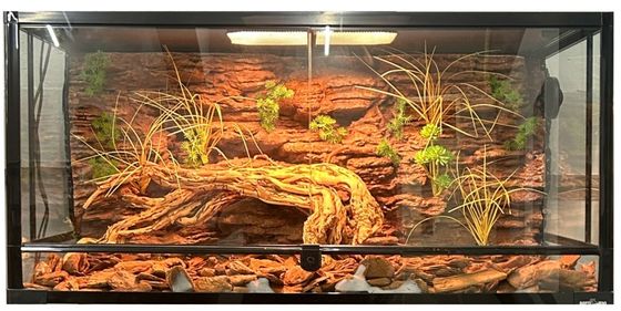 Waterproof Foam Background Reptile Corrosion Resistant Easy Installation