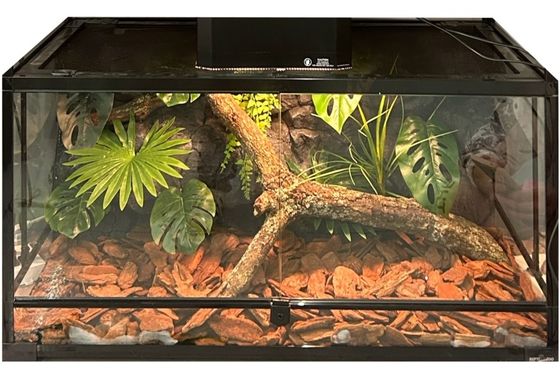 Corrosion Resistance Reptile Enclosure Background Light Weight DIY Reptile Tank Background