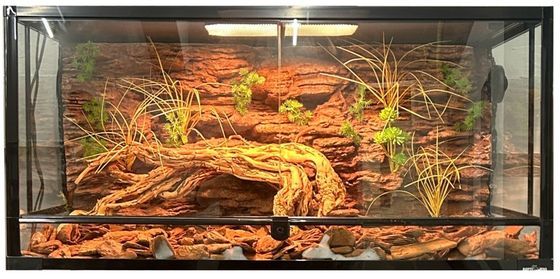 Free Combination Easy DIY 3d Background For Vivarium Natural Texture SL-M50A