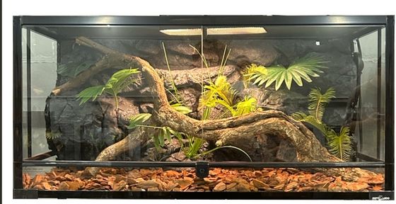 SL-M49A PU Waterproof Reptile Rock Background Easy Cleaning And Maintenance