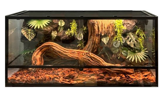 Homelike Environment Reptile Enclosure Background With Simulated Rock And Stump Mash Up Board