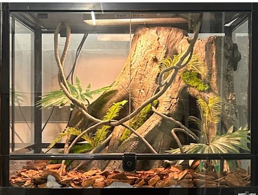 Customizable And Eco Friendly Artificial Tree Stump For Reptile Terrarium Background SL-M14A