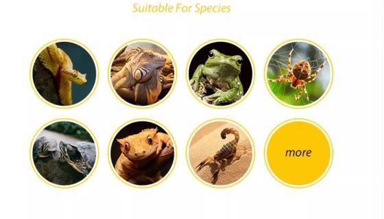 Multi Functional Reptile Water Dish For Feeding Drinking And Bathing MTW13