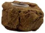 PU Material Simulation Stone Reptile Feeding Bowl For Lizards And Turtles