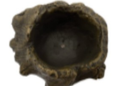 Reptile Water Bowl Food Grade Material 3D Simulation Process Thickened Bottom Design