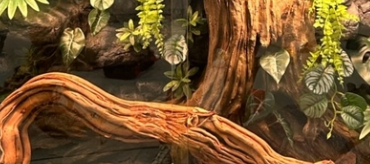 Vivarium Background Environmentally Friendly Material Moisture-proof Simple Operation