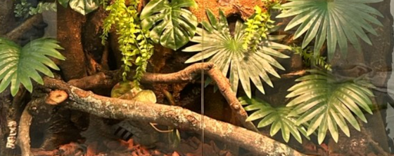3D Vivarium Background Stump Rock Texture Corrosion Resistance Free Installation