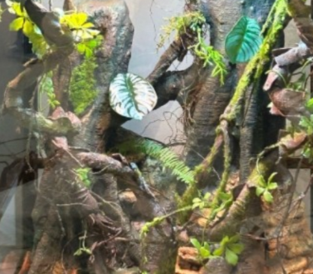 3D Vivarium Background Realistic Rocks Accessories Pet Cabinets Homelike Nature