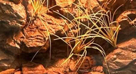 Terrarium fond résistant à l'eau résistant à la corrosion Poids léger SL-M38A