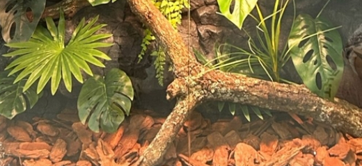 SL-M25A Reptile Tank Backdrop Lifelike Textures Beautiful Aesthetic Effortless Cutting