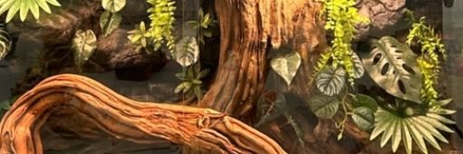 Reptile Enclosure Background Model SL-M29A Modular Design Eco-Friendly Material