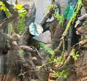 Environmentally Reptile Enclosure Background Easy Cutting Rock Terrarium Background