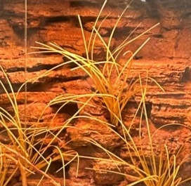 SL-M49A PU Waterproof Reptile Rock Background Easy Cleaning And Maintenance
